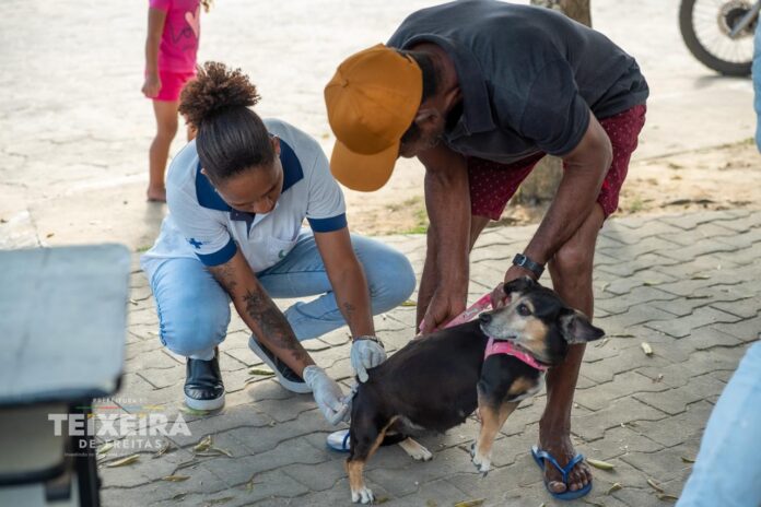 protecao-e-responsabilidade:-municipio-intensifica-vacinacao-antirrabica-e-reforca-que-o-cuidado-e-um-trabalho-conjunto